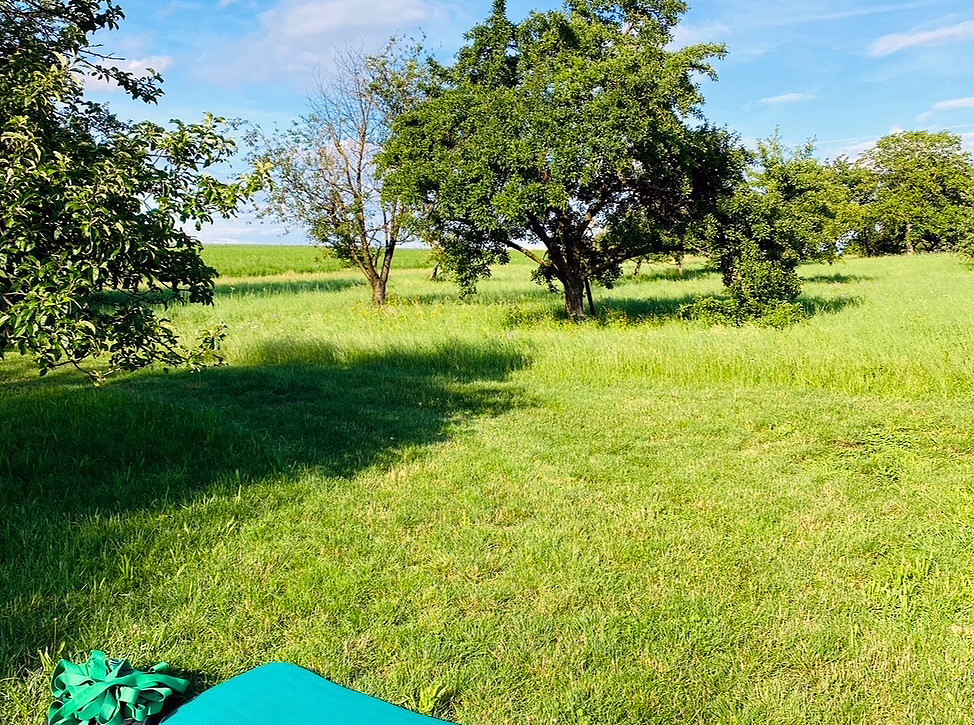 Outdoor Training (2)